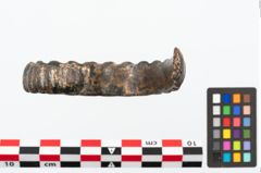 Foto von Bronzeperlarmreif (NHMW-PRAE-025399)